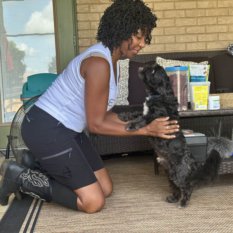 small animal therapy pet therapy