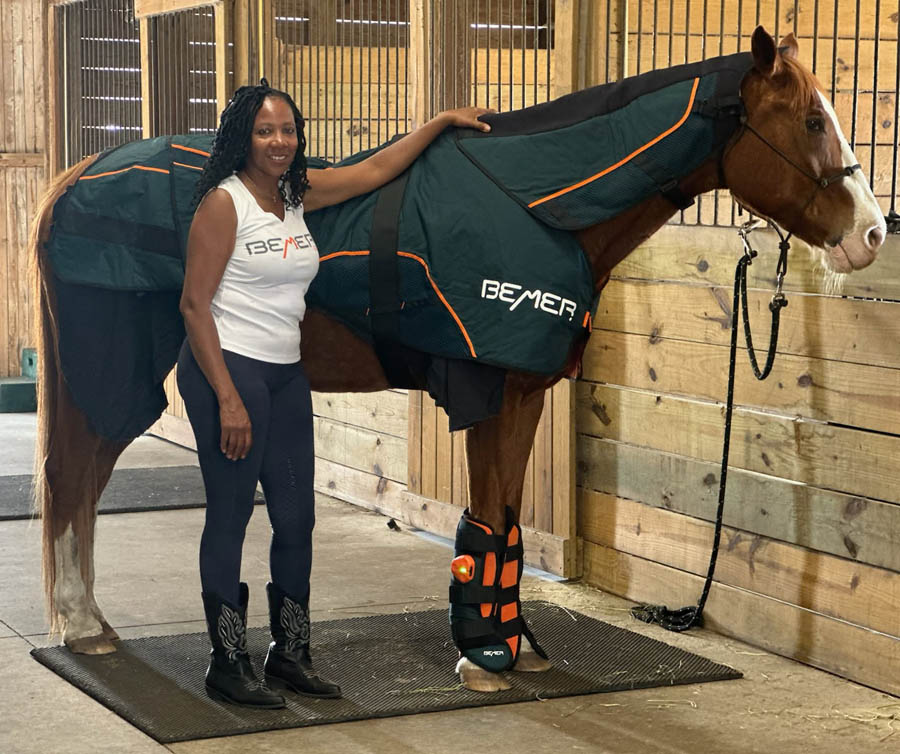 Bemer therapy for horses